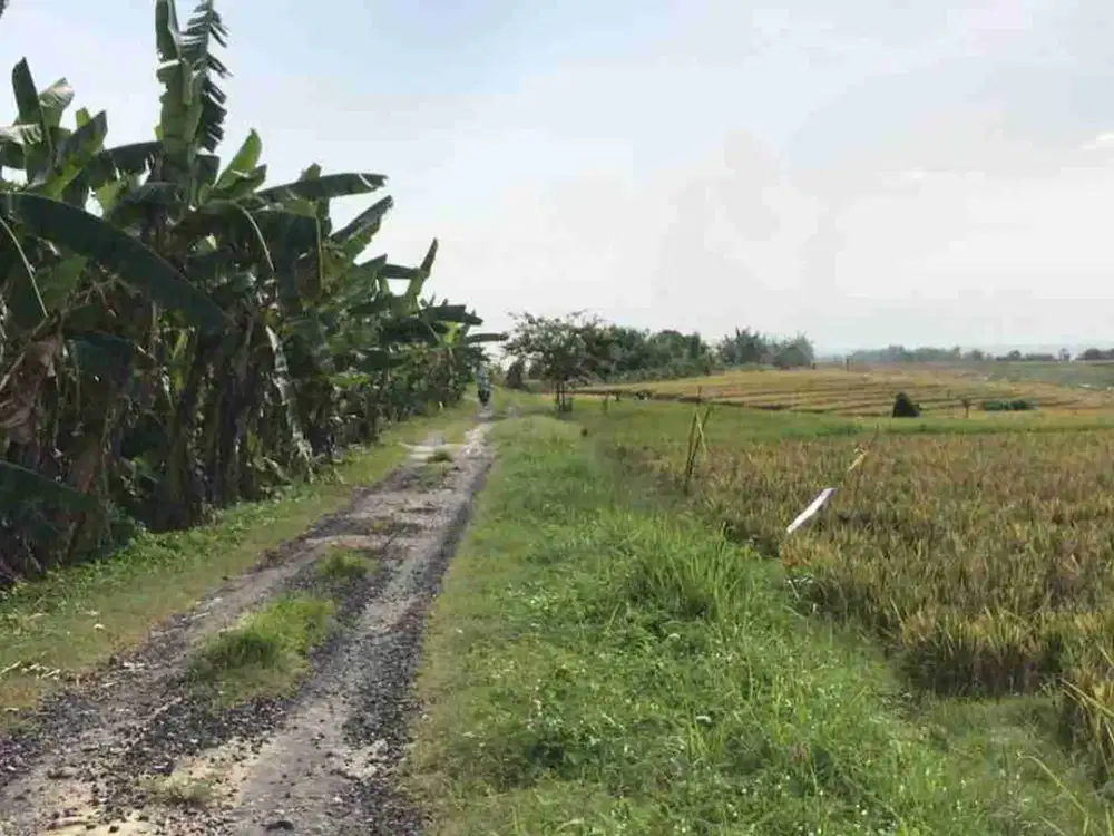 Lahan kerambitan Dekat pantai view Pantai Gunung SHM zona Pariwisata