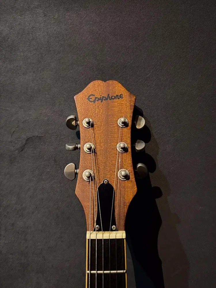 Ephiphone signature tim delonge