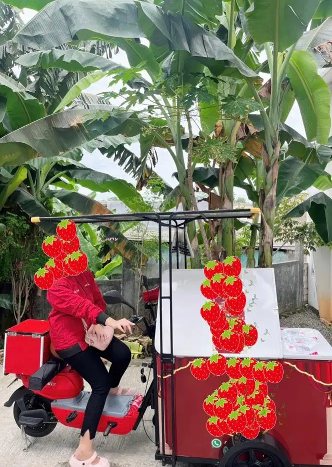 SEPEDAH LISTRIK GEROBAK BEKAS