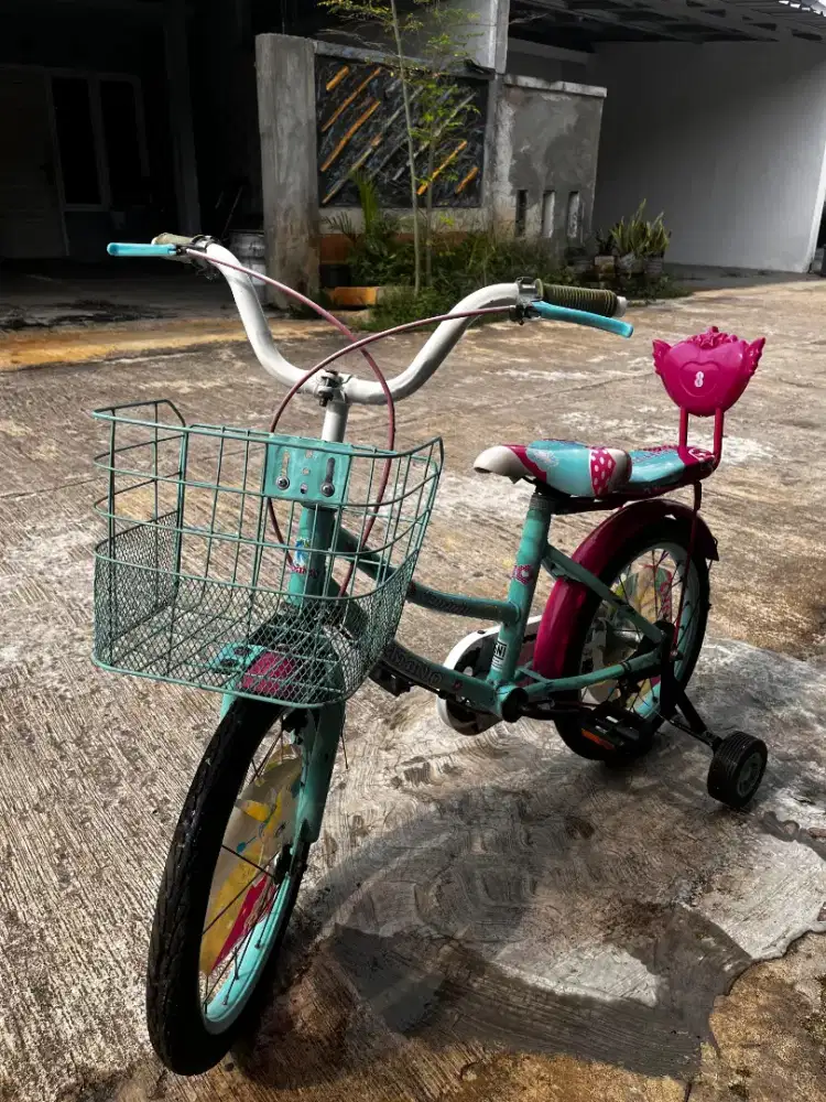 Sepeda Anak cewek