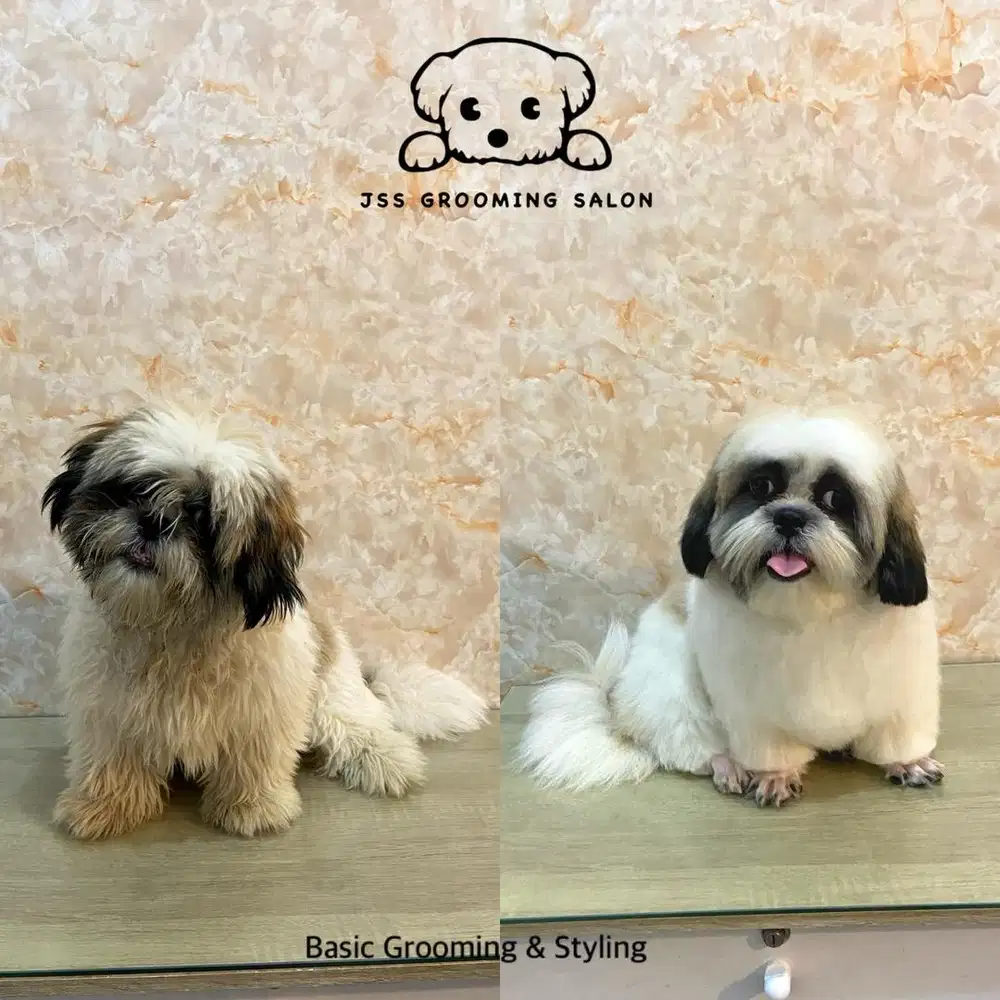 Grooming internasional