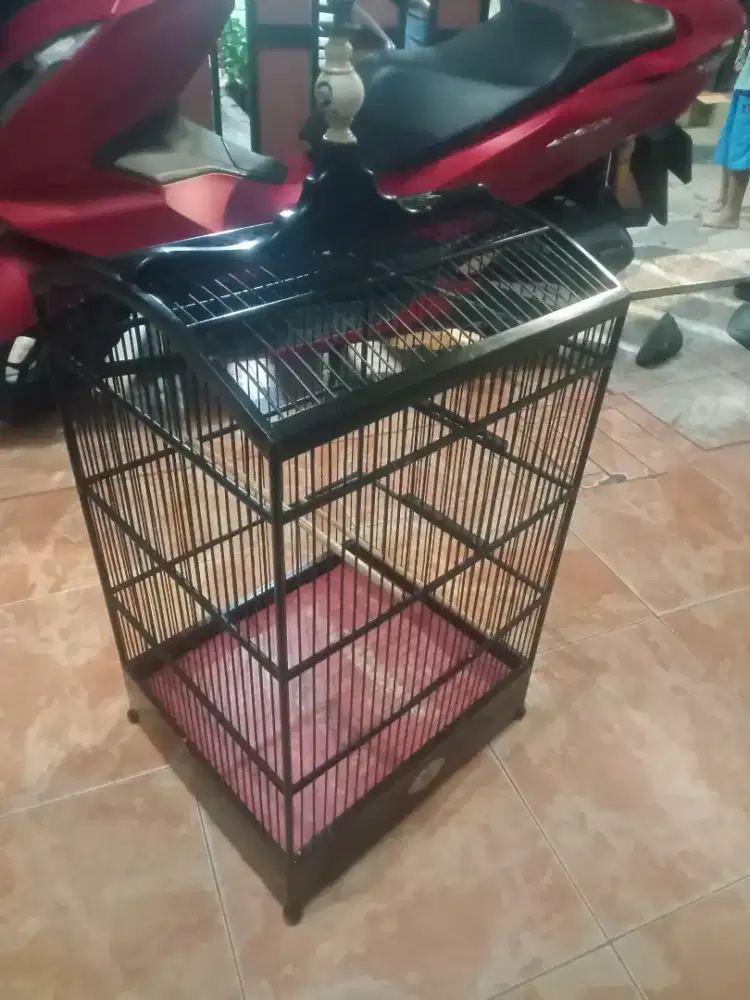 Ebod no 2 fullset krodong