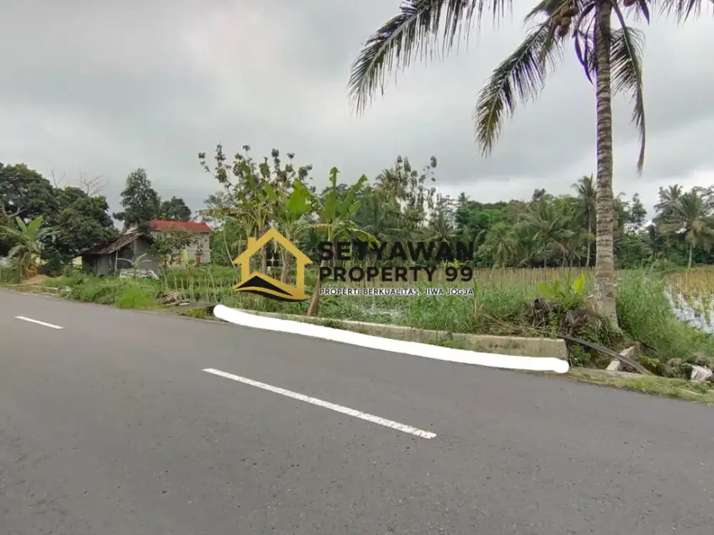 TANAH SAWAH JALAN WATUGENDONG PAKEM