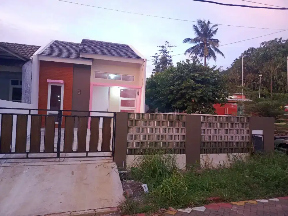 Di kontrakan serumah tahunan