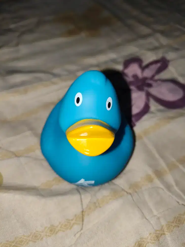 PRELOVED Bebek Mainan Like new (tinggal di bersihkan) -HSC2025