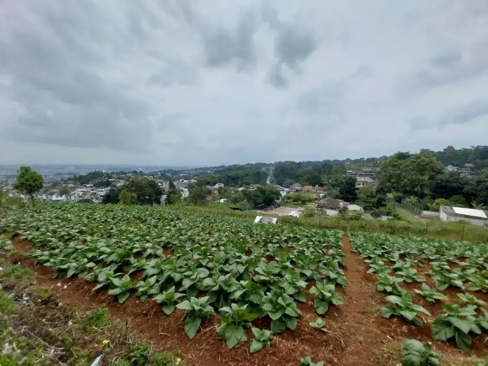 Tanah cimenyan padasuka bandung  jawa barat view yang bagus
