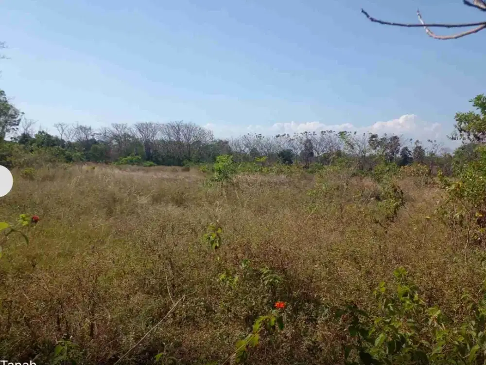 jual tanah kosong di takalar