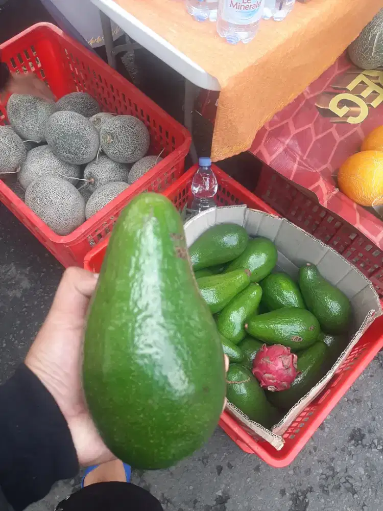 DICARI KARYAWATI SEGERA