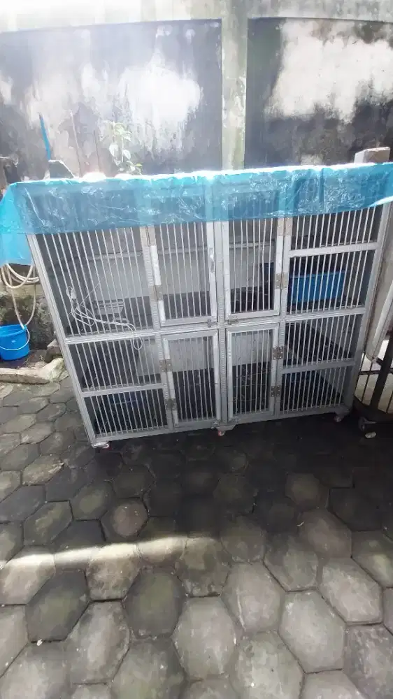 Dijual Kandang Kucing