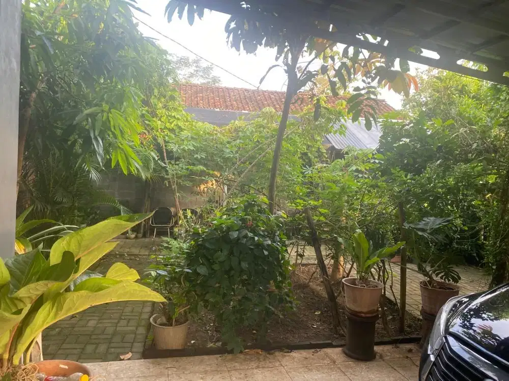 Cepat2 Dijual Tanah Pekarangan dengan Rumahnya di pusat kota