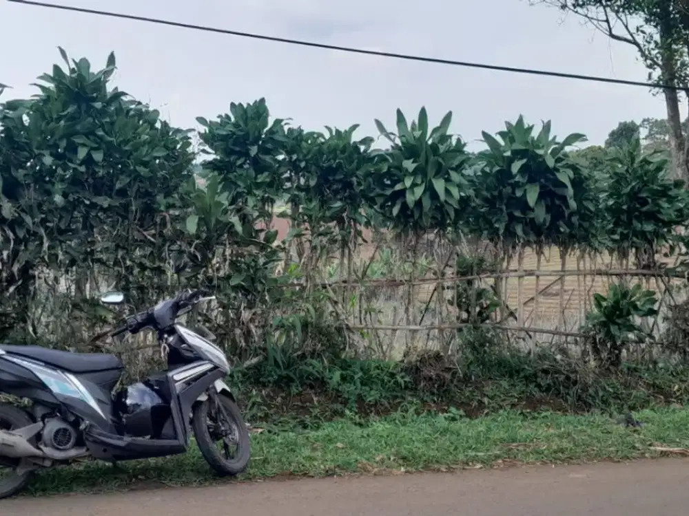 dijual lahan pinggir jalan 2036 meter cocok untuk berkebun