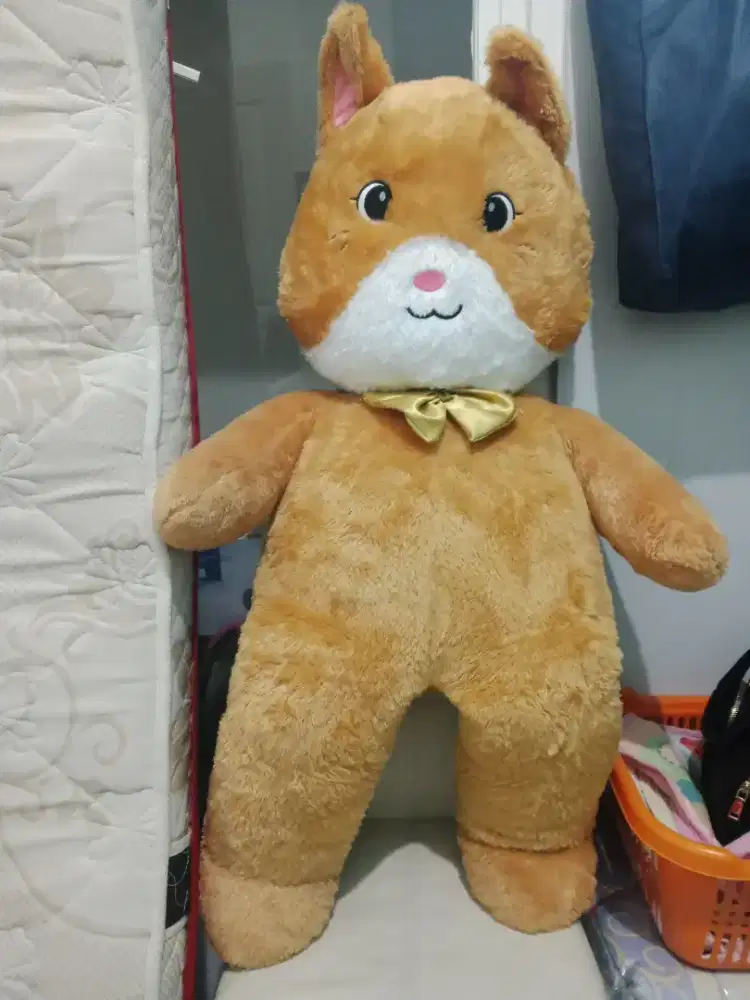 Boneka besar kucing