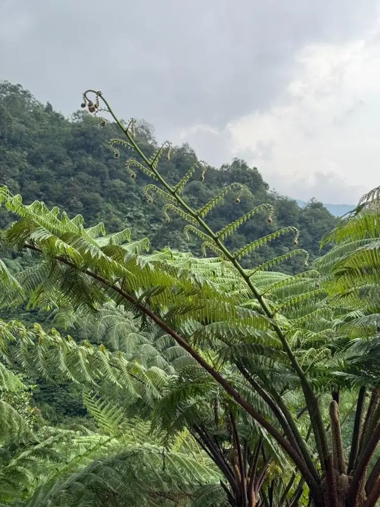 LOWONGAN TUKANG BEBERSIH