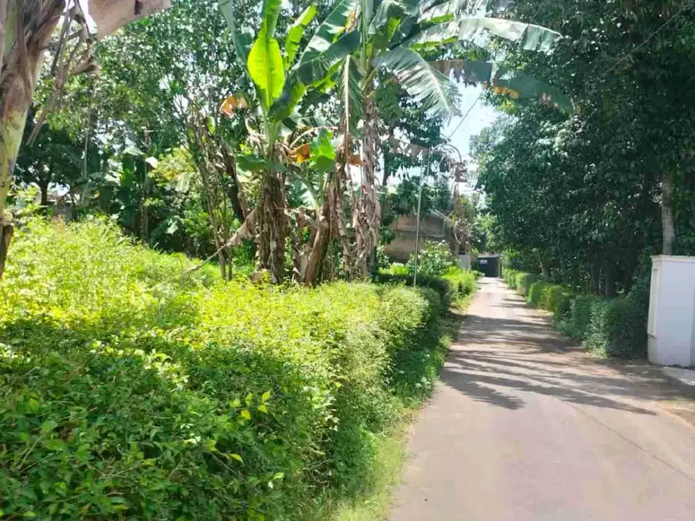 Dijual pekarangan murah di banyudono boyolali