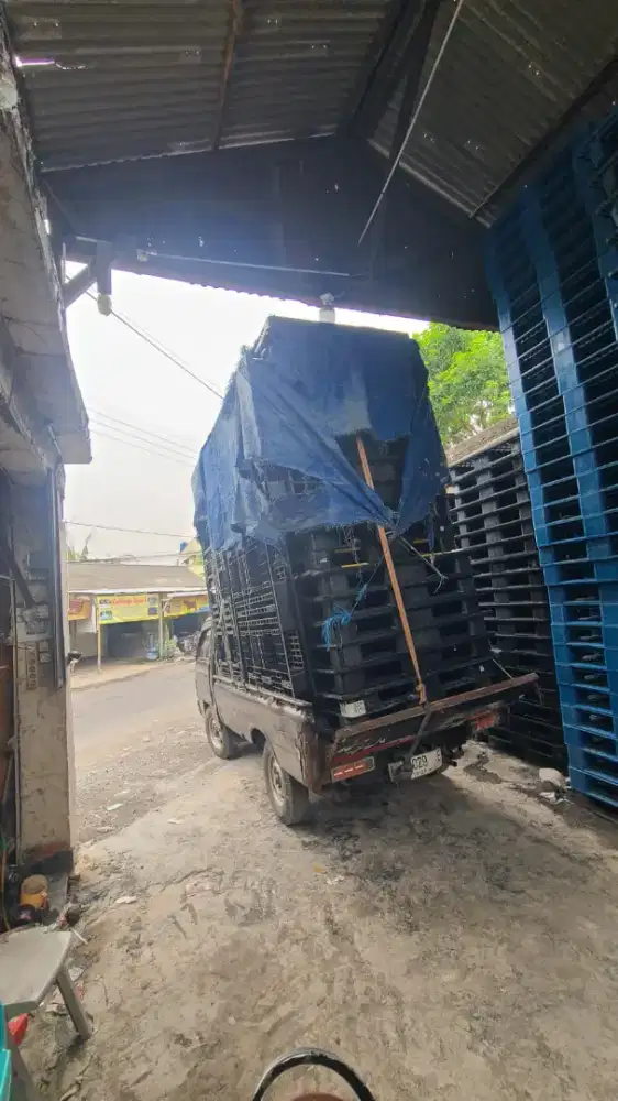 Pallet plastik bekas baru untuk industri makanan minuman yang sehat