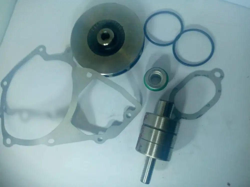 Water Pump LASO PN 21561887