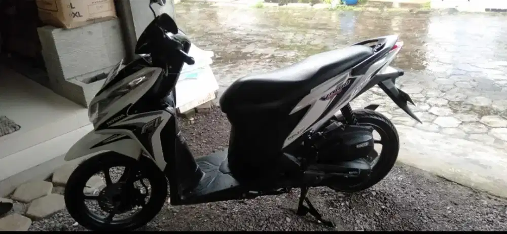 Motor vario 2014