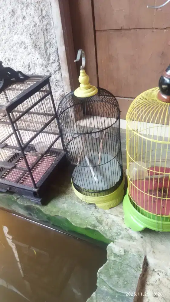 JUAL KANDANG LAYAK PAKAI