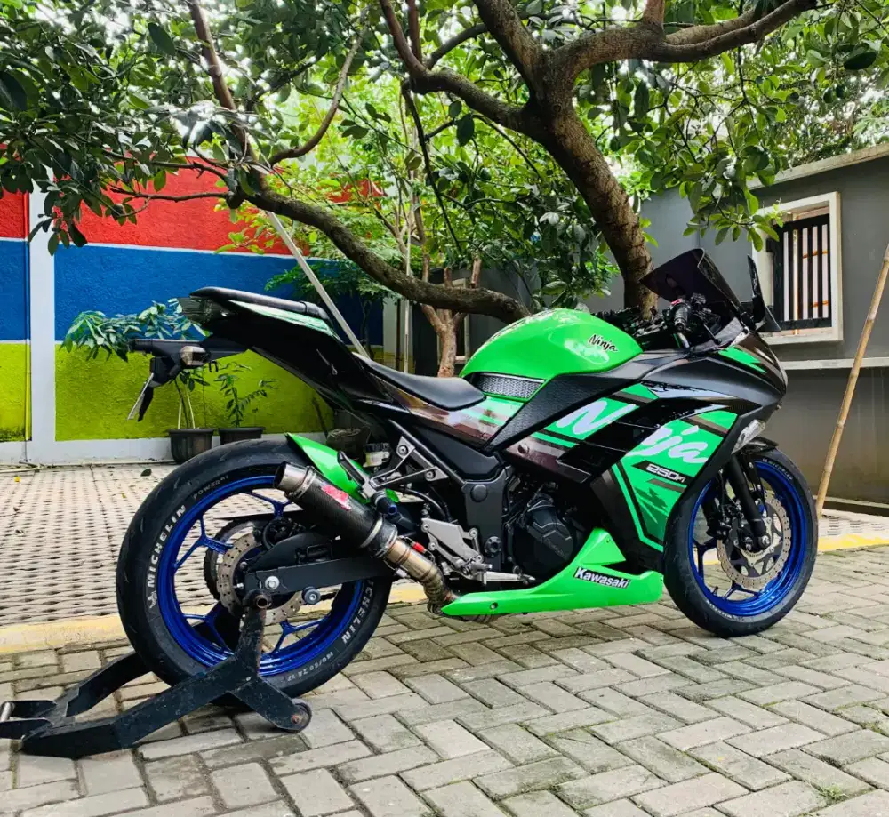 Kawasaki ninja 250 fi abs
