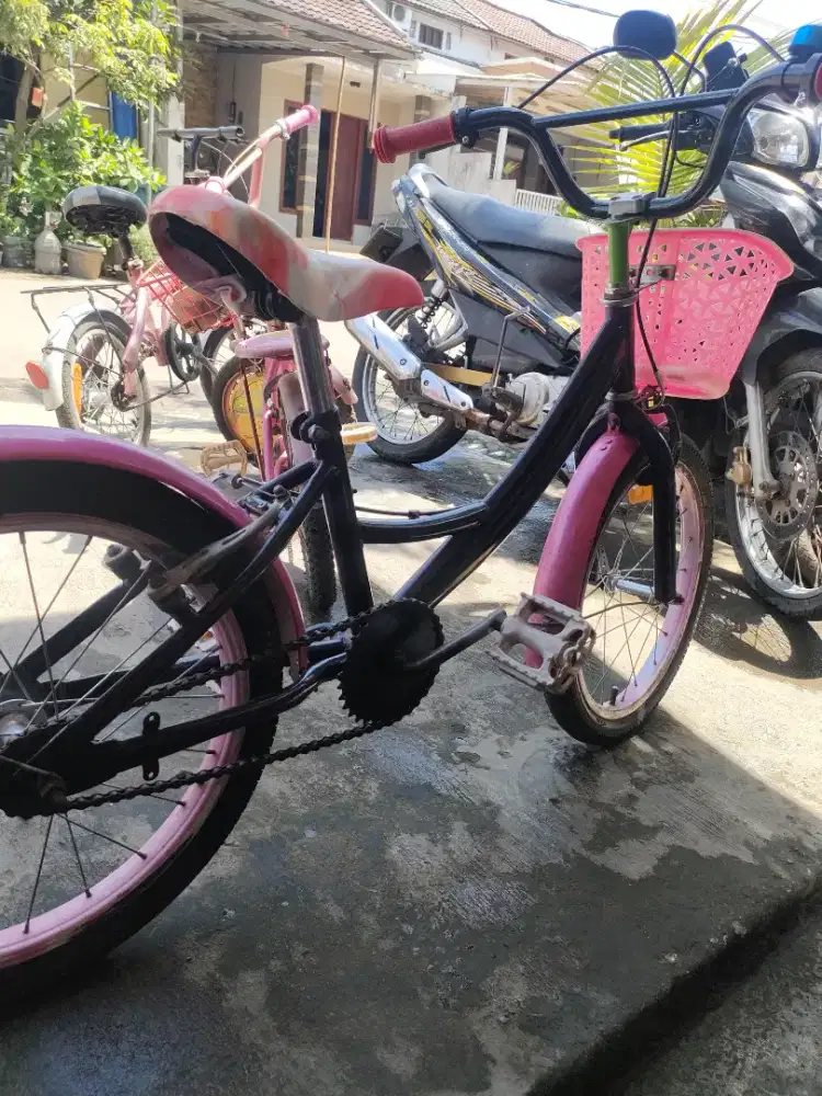Sepeda anak r18 warna ungu pink semua baru renov baru siap gowes