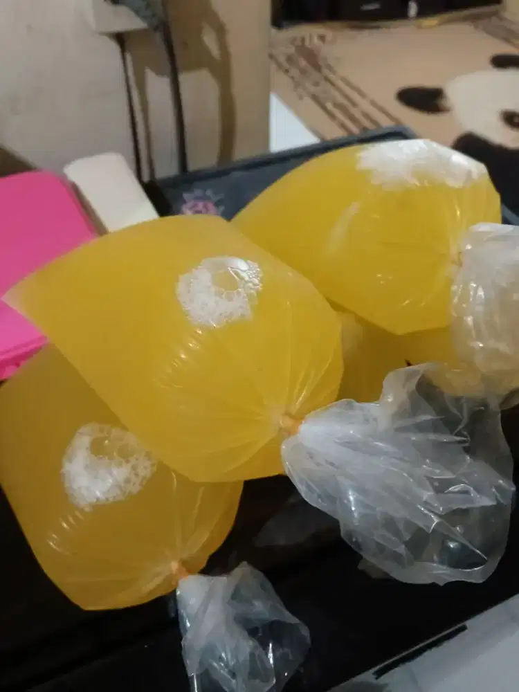 Putih Telur 5kg fresh banget