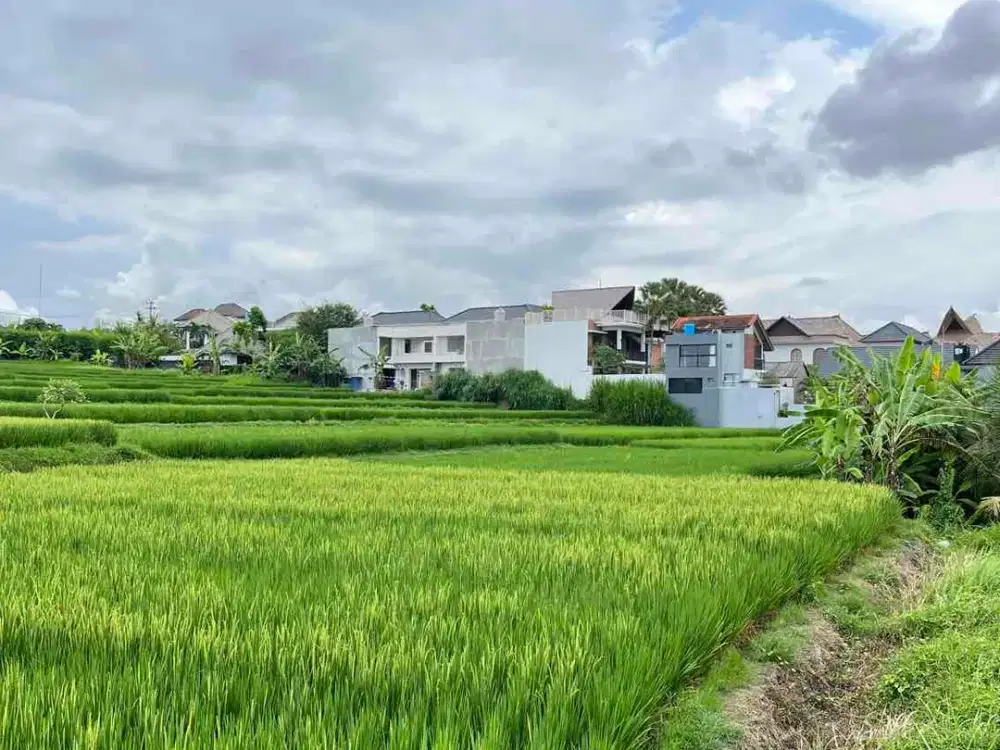 Dijual Tanah 17 Are Lodtunduh, Ubud