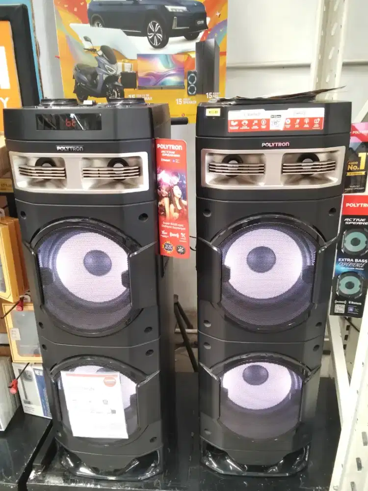 Polytron Speaker Pas 10DF28