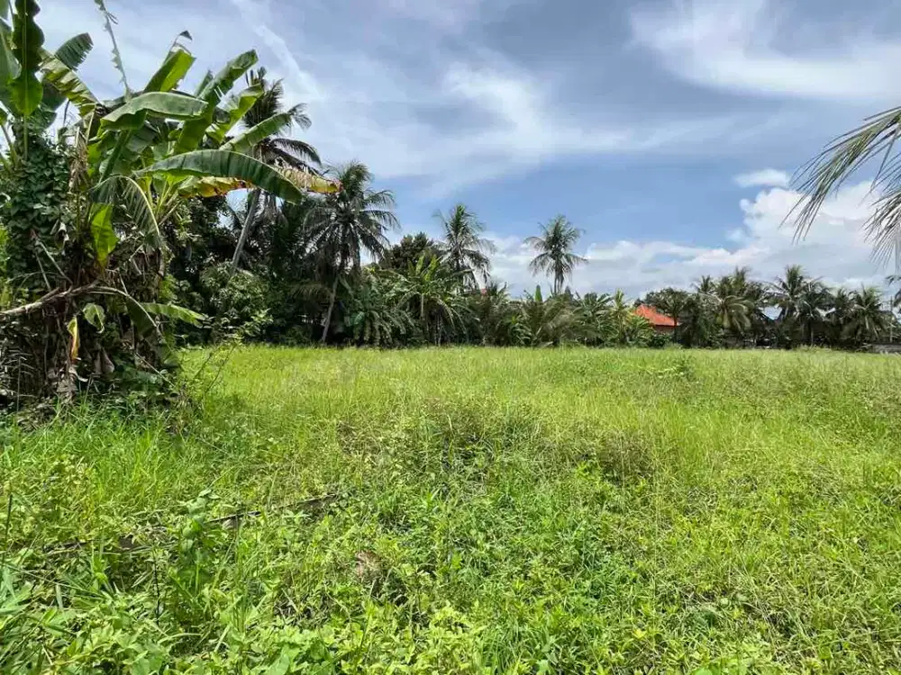 Disewakan Tanah 10 Are Lodtunduh, Ubud