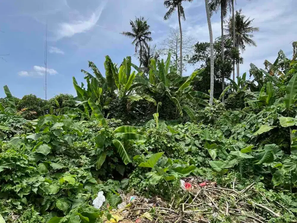 Dijual Tanah 14 Are Lodtunduh, Ubud