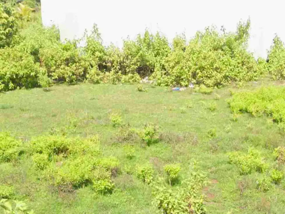 tanah 1,36 are IDR GLOBAL 600 juta  dekat STP Nusa dua Kuta Selatan Badung Bali