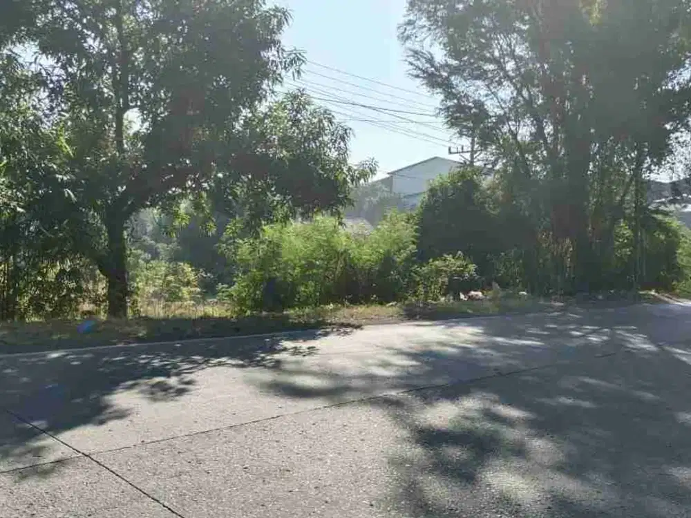 tanah komersil kaliwungu kendal