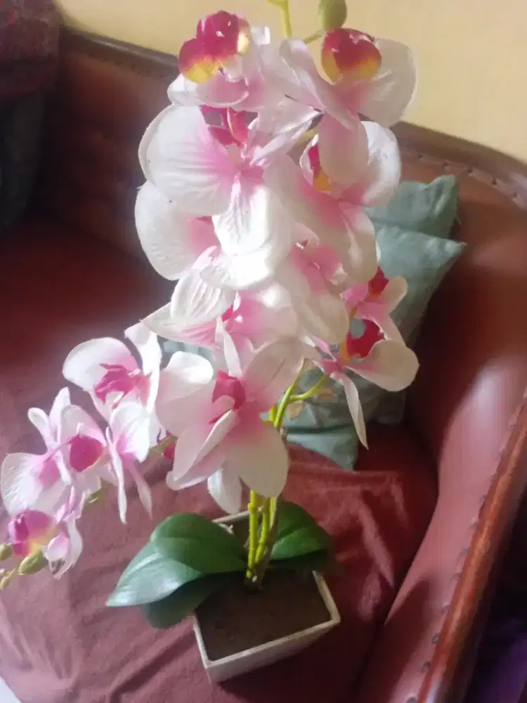 Bunga Anggrek plasik