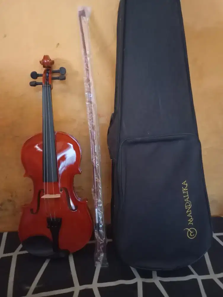 Biola 4/4 biola untuk dewasa