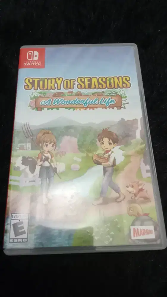 Game Nintendo switch story of seasons