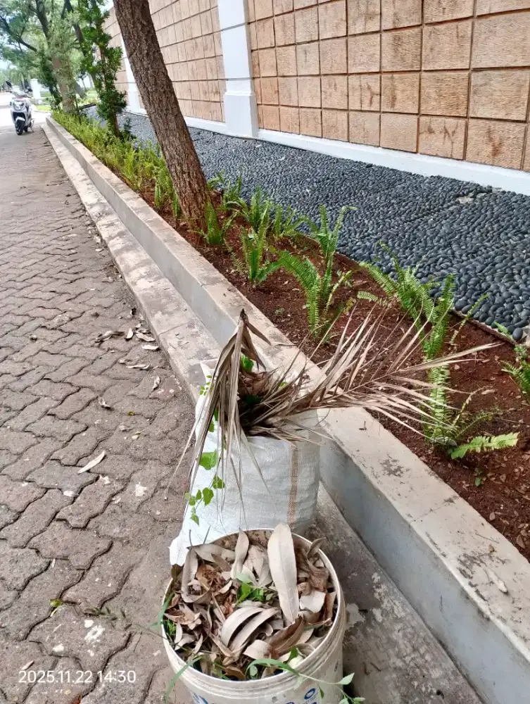 Dicari bagian Art wanita