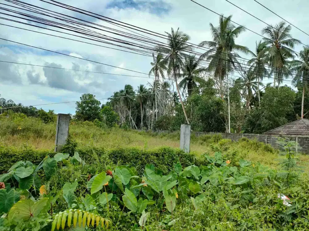 Tanah strategis siap bangun kota Pontianak di jl. Sungai Kakap Pal 9