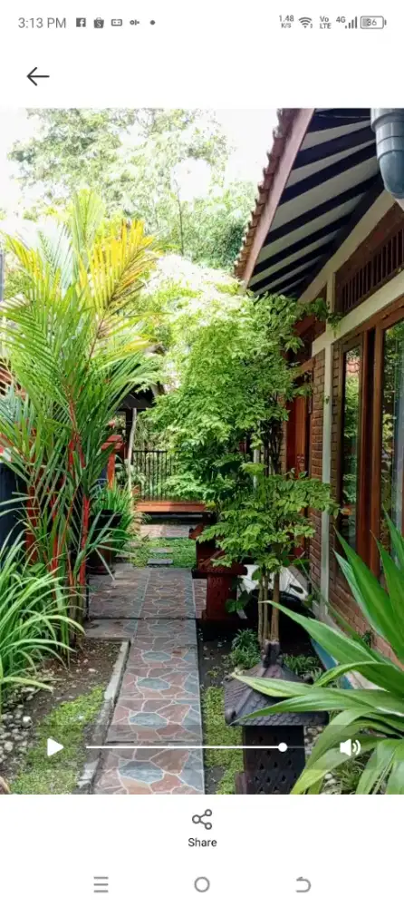 Homestay cuamik dijual selalu full tamu