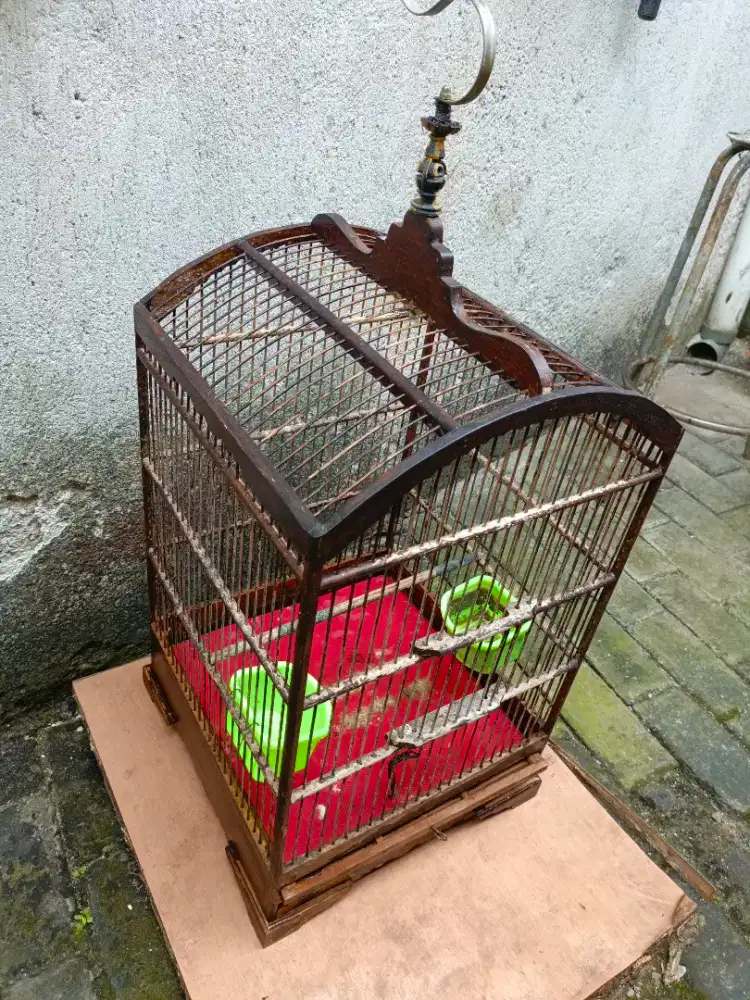 Kandang kotak nomor 2