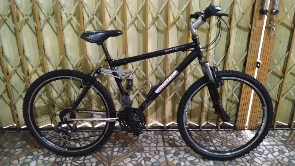 Sepeda mtb wimcycle street cat