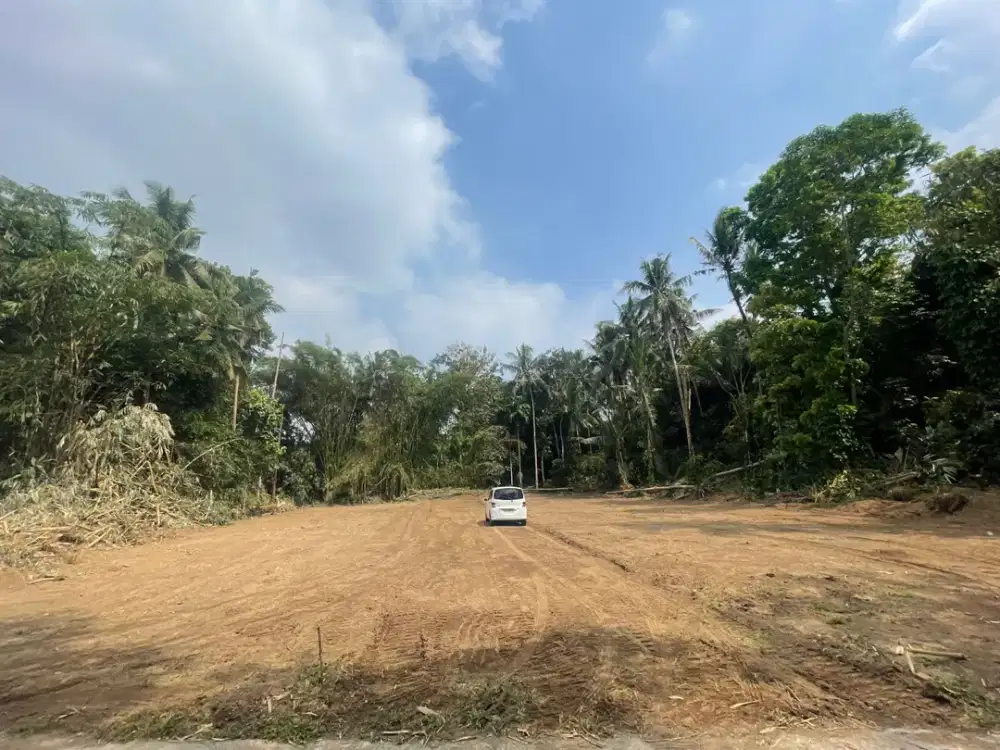 Tanah Sleman Area Triharjo Belakang Pemda Sleman Siap Bangun