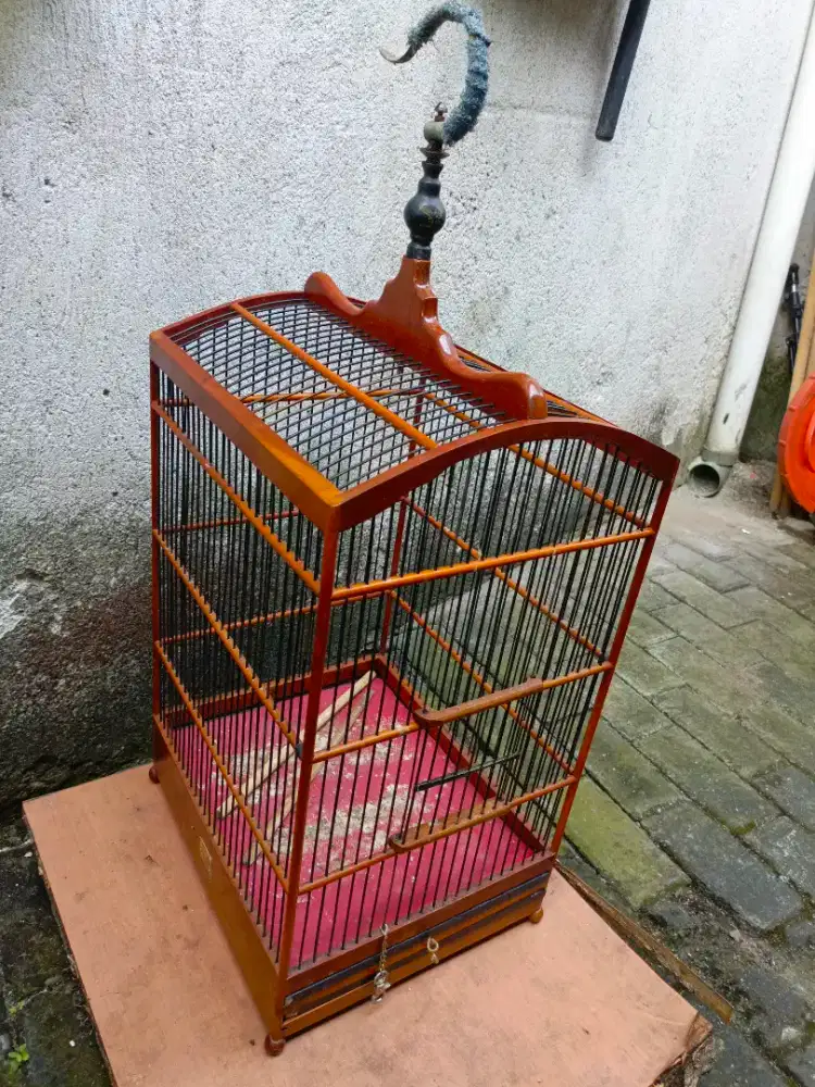 Kandang kotak nomor 2