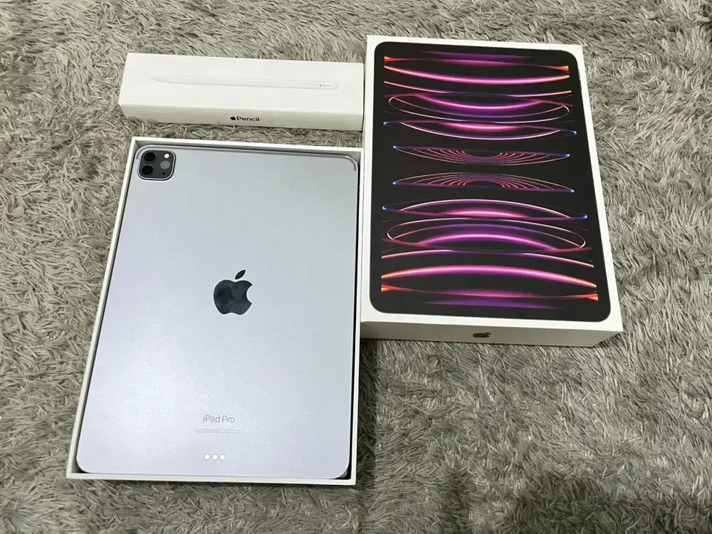 iPad Pro M2 256GB Wifi Only