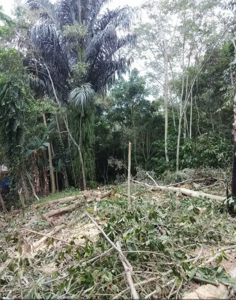 Di kasi gratis tanah urug