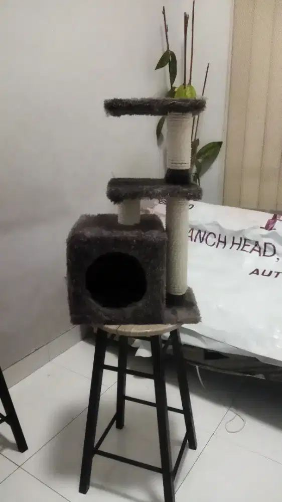 mainan rumah kucing ,medium