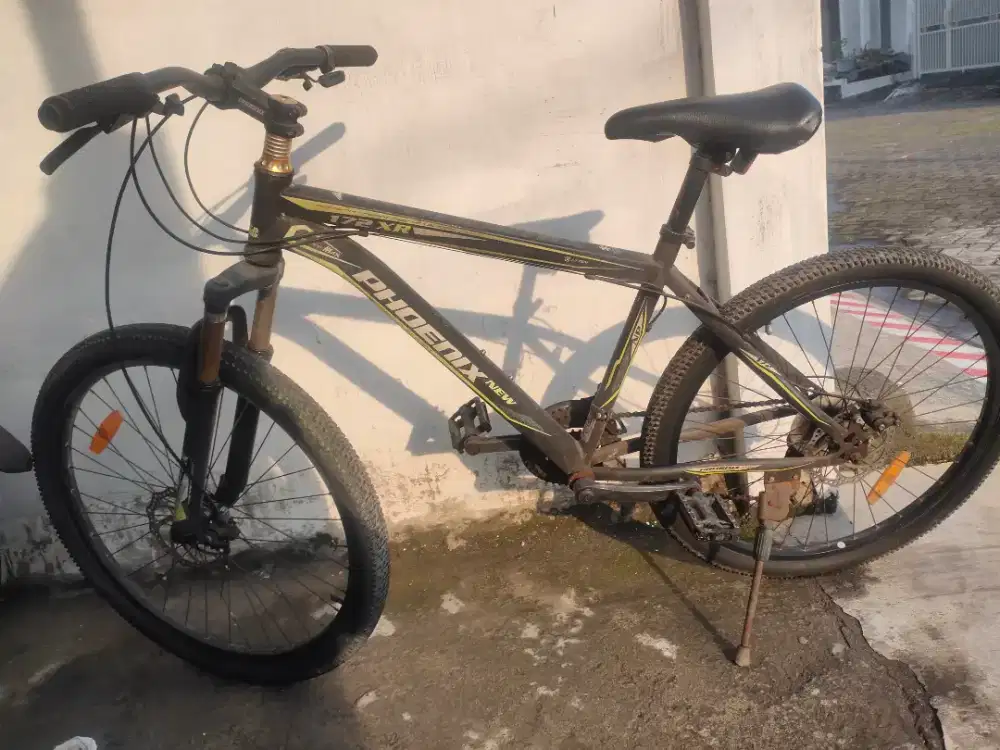 Jual Sepeda gunung Phoenix Ring 26 masih layak pakai