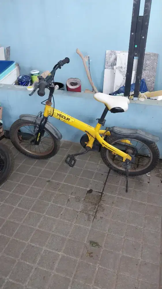 Sepeda anak united vigour