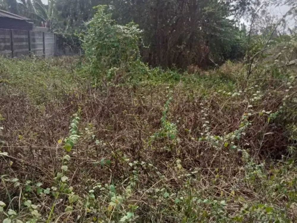 Dijual Tanah Kavling Siap Dibangun Lokasi di Pasar Kemis Tangerang