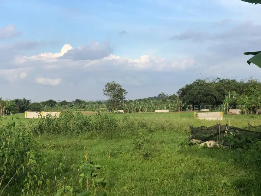 Tanah Daerah Palasari, Legok, Tangerang, Banten