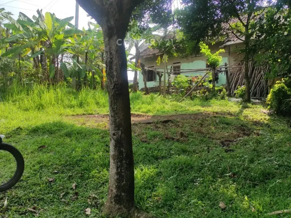 Dijual Tanah Lahan Kosong Di Cikande Rangkasbitung Serang Banten