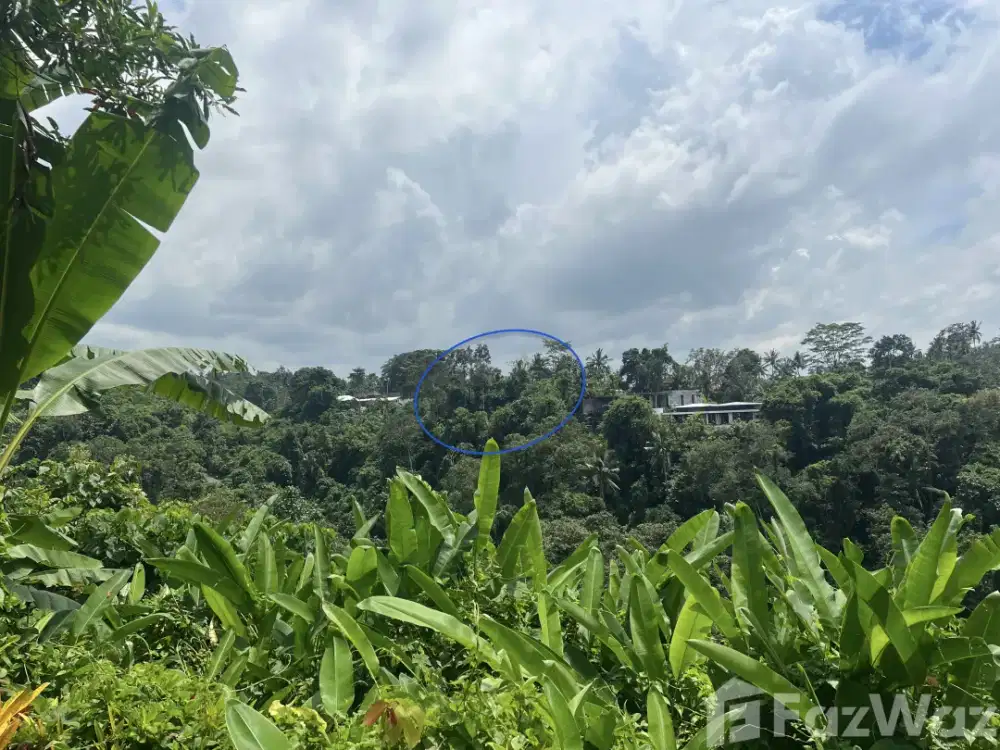 Land for sale in Ubud, Bali